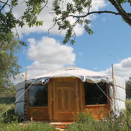 Tiny House Eco Resort Estevais Екстериор снимка