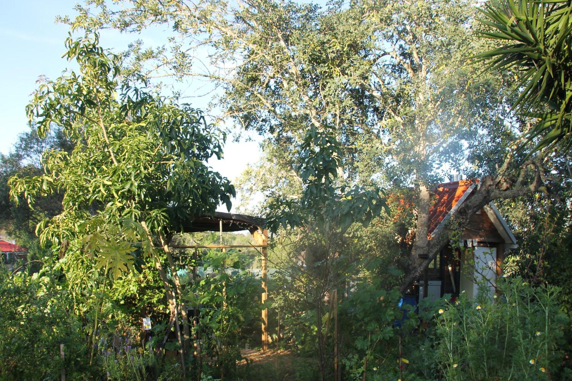 Tiny House Eco Resort Estevais Екстериор снимка